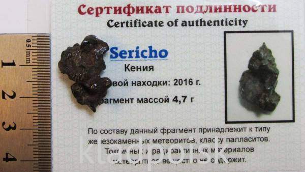 Осколок метеорита Sericho (арт 18) Осколок метеорита Sericho (арт 18)