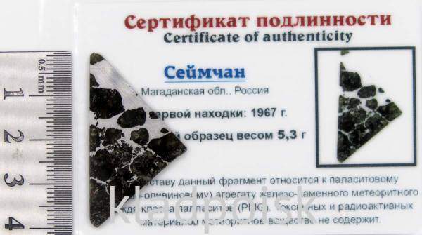 Спил метеорита Сеймчан арт 5