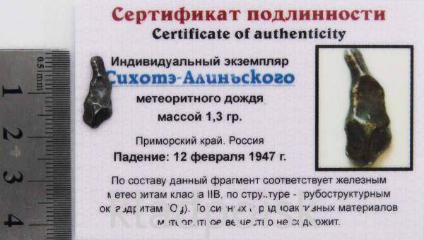 Индивидуальный экземпляр Сихотэ-Алиньского метеоритного дождя (арт 13)