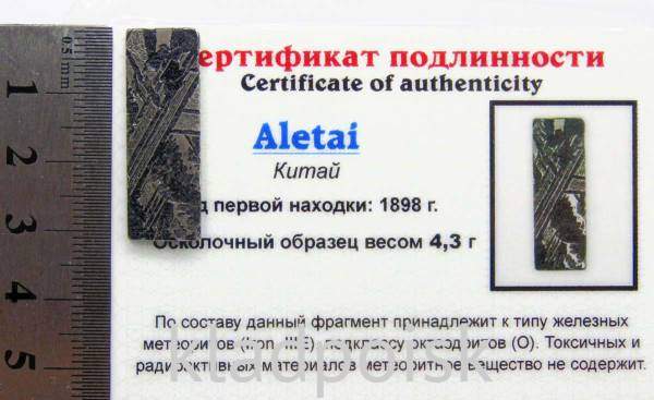 Спил метеорита Aletai, арт 24