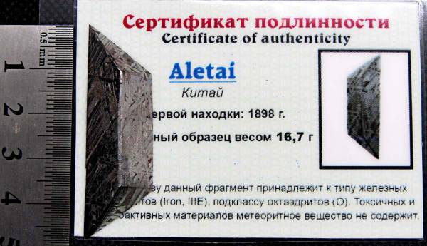 Ограненный осколок метеорита Aletai, арт 7