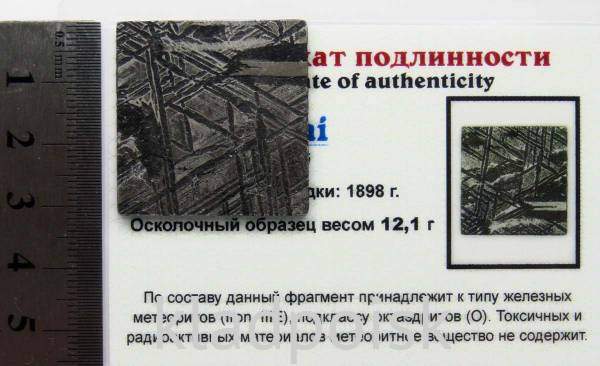 Спил метеорита Aletai, арт 31