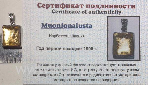 Подвеска из метеорита Муонионалуста (Muonionalusta) с позолотой (арт 4)