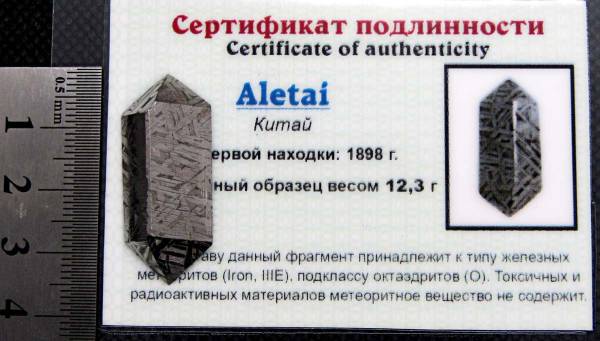 Ограненный осколок метеорита Aletai, арт 16