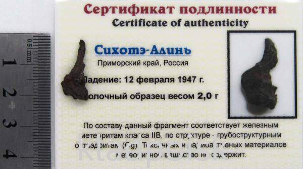 Осколок метеорита Сихотэ-Алинь арт 30