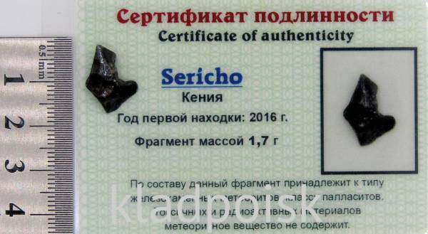 Осколок метеорита Sericho (арт 7) Осколок метеорита Sericho (арт 7)