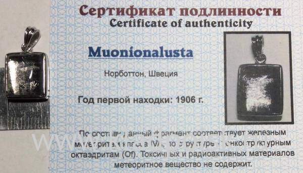 Подвеска из метеорита Муонионалуста (Muonionalusta) с родированием малая (арт 30)
