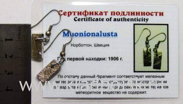 Серьги с метеоритом Муонионалуста (Muonionalusta), арт 4