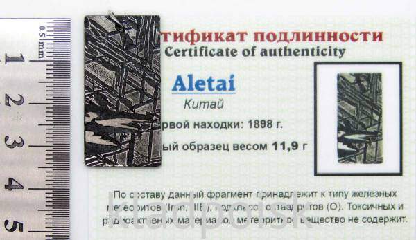 Подвеска из метеорита Aletai