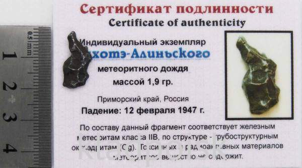 Индивидуальный экземпляр Сихотэ-Алиньского метеоритного дождя (арт 9) Индивидуальный экземпляр Сихотэ-Алиньского метеоритного дождя (арт 9)