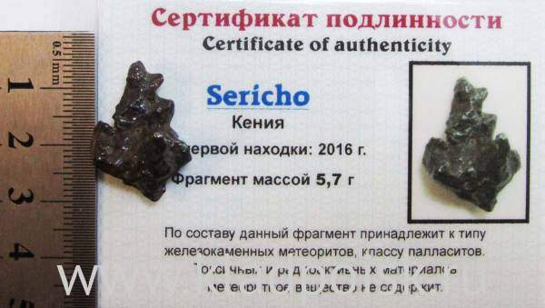 Осколок метеорита Sericho (арт 12) Осколок метеорита Sericho (арт 12)