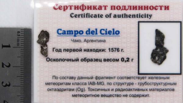 Осколок метеорита Campo del Cielo, арт 17 Осколок метеорита Campo del Cielo, арт 17