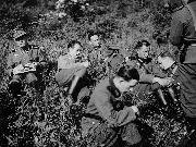 Прокладка телефонных линий связи. 17-я запасная рота (связи) 137-го горнострелкового полка - район Зальцбурга