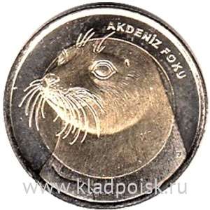 Монета 1 лира Турция – Тюлень-Монах, 2013