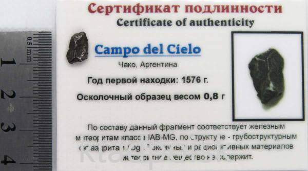 Осколок метеорита Campo del Cielo