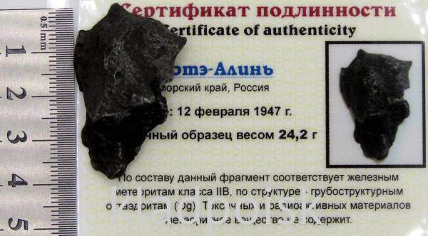 Осколок метеорита Сихотэ-Алинь арт 42