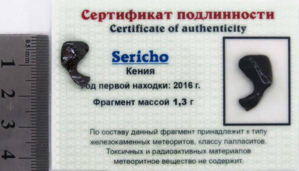 Осколок метеорита Sericho Осколок метеорита Sericho