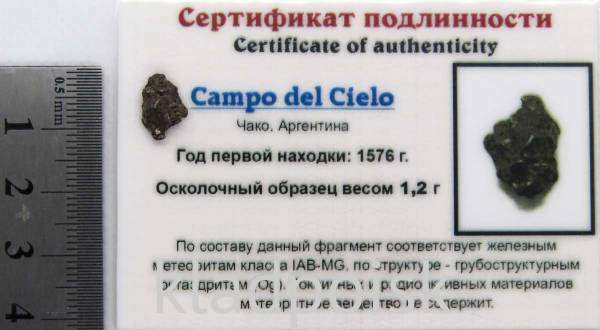 Осколок метеорита Campo del Cielo