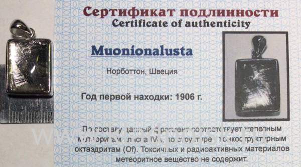 Подвеска из метеорита Муонионалуста (Muonionalusta) с родированием (арт 19)