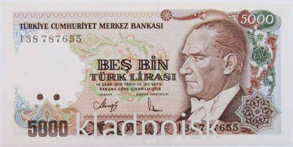 Банкнота 5000 лир 1990 года - Турция