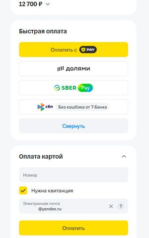 SBER Pay, T Pay, оплата картой, оплата долями SBER Pay, T Pay, оплата картой, оплата долями