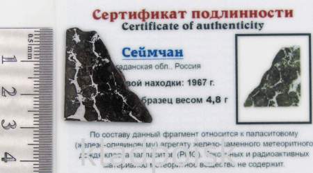 Спил метеорита Сеймчан арт 26