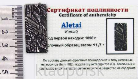 Подвеска из метеорита Aletai, арт 6 Подвеска из метеорита Aletai, арт 6