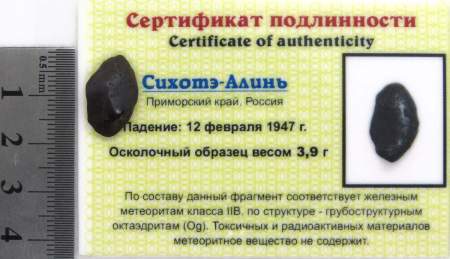 Осколок метеорита Сихотэ-Алинь арт 4