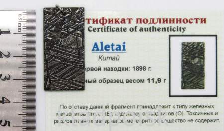 Подвеска из метеорита Aletai, арт 19 Подвеска из метеорита Aletai, арт 19
