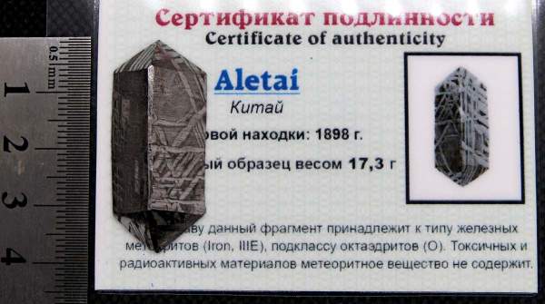 Ограненный осколок метеорита Aletai, арт 11