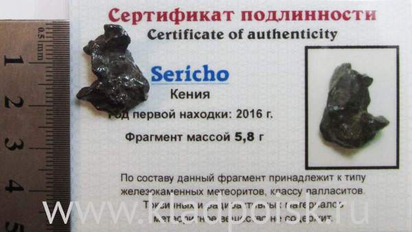 Осколок метеорита Sericho (арт 32) Осколок метеорита Sericho (арт 32)