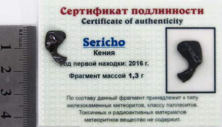 Осколок метеорита Sericho (арт 5) Осколок метеорита Sericho (арт 5)