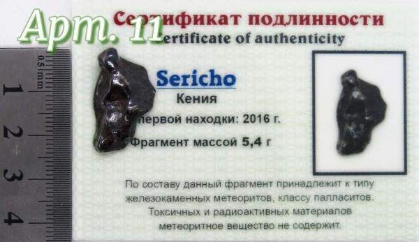 Осколок метеорита Sericho (арт 11) Осколок метеорита Sericho (арт 11)