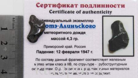 Индивидуальный экземпляр Сихотэ-Алиньского метеоритного дождя (арт 18)