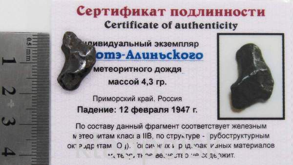 Индивидуальный экземпляр Сихотэ-Алиньского метеоритного дождя (арт 18)