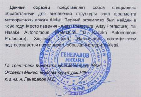 Спил метеорита Aletai, арт 21