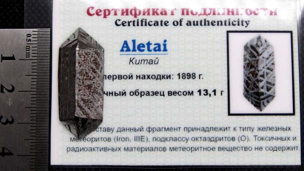 Ограненный осколок метеорита Aletai, арт 15
