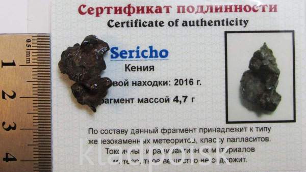 Осколок метеорита Sericho (арт 18) Осколок метеорита Sericho (арт 18)