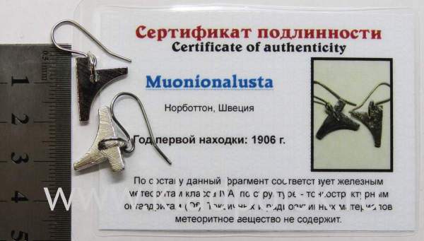 Серьги с метеоритом Муонионалуста (Muonionalusta), арт 1