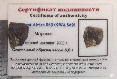 Осколок метеорита NWA 869, арт 8