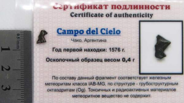 Осколок метеорита Campo del Cielo, арт 19 Осколок метеорита Campo del Cielo, арт 19