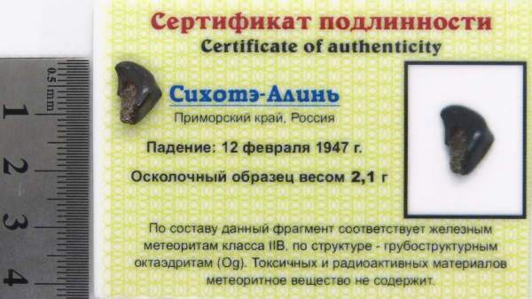 Осколок метеорита Сихотэ-Алинь арт 9