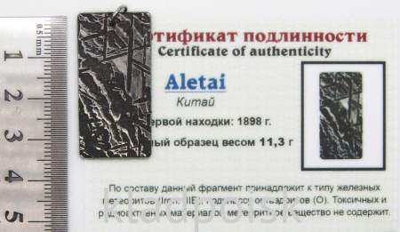 Подвеска из метеорита Aletai, арт 24