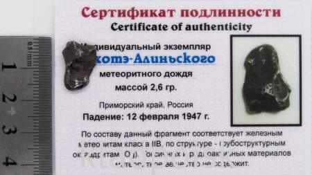 Индивидуальный экземпляр Сихотэ-Алиньского метеоритного дождя (арт 28)