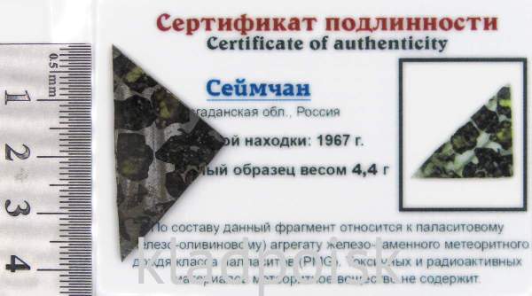 Спил метеорита Сеймчан арт 6