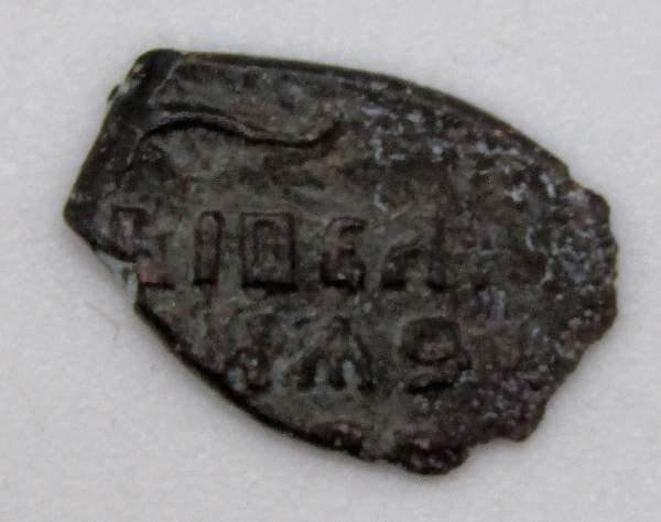 Копейка медь Алексей Михайлович (чешуя), Медный бунт, Москва, Новый монетный двор, арт 3