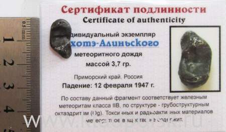 Индивидуальный экземпляр Сихотэ-Алиньского метеоритного дождя (арт 26)