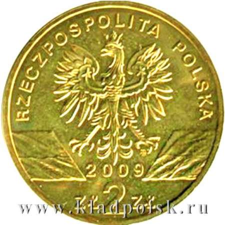 Монета 2 злотых Польша Зеленая ящерица 2009