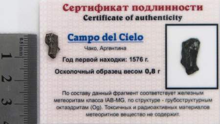 Осколок метеорита Campo del Cielo, арт 23