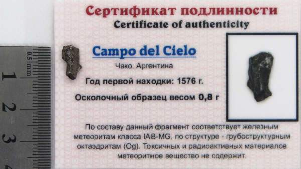 Осколок метеорита Campo del Cielo, арт 23 Осколок метеорита Campo del Cielo, арт 23